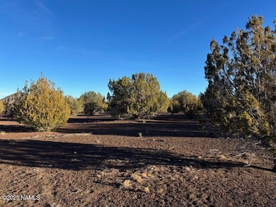 land Photo 3