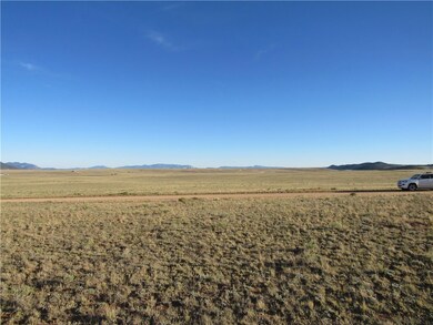 114 Andesite Way, Hartsel, CO 80449 - photo 5