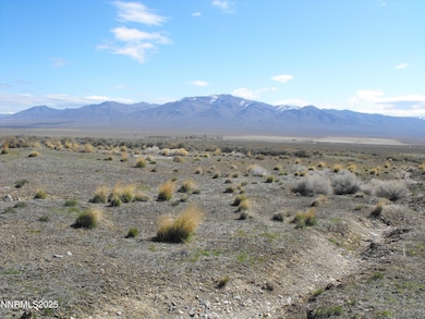 0 Coyote Canyon Rd unit 250058510, Unionville, NV 89418 - photo 6