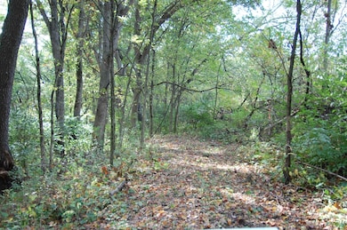 17.63 Acres Biglow Hill Rd, Avoca, WI 53506 - photo 4