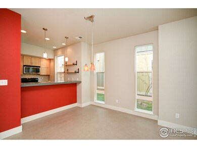 803 Heschel St unit D, Fort Collins, CO 80524 - photo 4