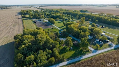 10970 Cordum Ave, Gillespie, IL 62033 - photo 4