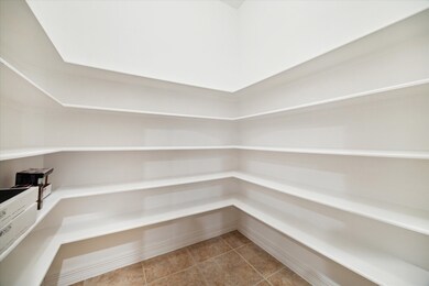 Huge walk-in pantry for the kitchen.