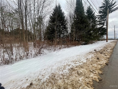 0 Emery Rd unit S1654552, Volney, NY 13069 - photo 2