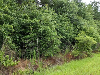 25153 Blackburn Dr, Splendora, TX 77372 - photo 2