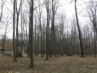 0 Mcmillan St unit 13020436, Onekama, MI 49765 - photo 6