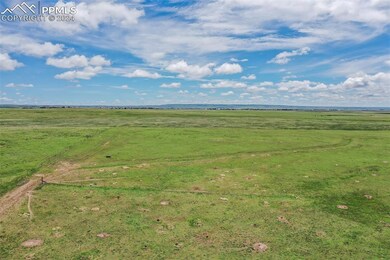 View of local wilderness featuring a rural view