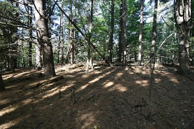 F 70th St, South Haven, MI 49090 - photo 7