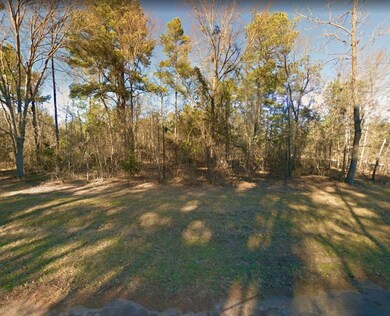 Club Dr, Gilmer, TX 75645 - photo 3