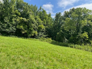 15 Long Hollow Acres unit 15, Burkesville, KY 42717 - photo 6