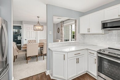 1803 Chateau Place unit D, Easton, PA 18045 - photo 5