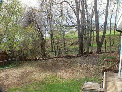 Yard/Garden.