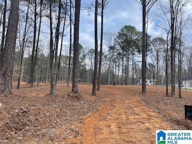 63 Hodgens Rd unit 3, Chelsea, AL 35043 - photo 3