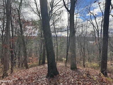 L11.9 Clarks Mills Rd, Greenwich, NY 12834 - photo 7