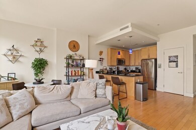 Lincoln Plaza II unit L413, Boston, MA 02111 - photo 4