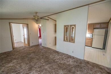 Living room and kitchen