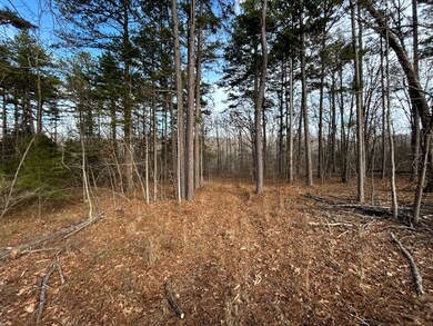 000 Berry Rd, Cabool, MO 65689 - photo 2