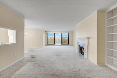 1101 Sibley Memorial Hwy unit 303, Saint Paul, MN 55118 - photo 4