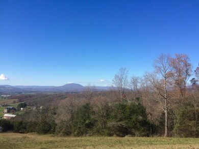 0 Mountain View Rd, Lexington, VA 24450 - photo 6