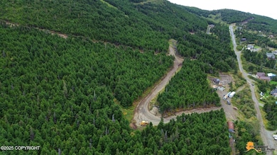 8460 Paine Rd, Anchorage, AK 99516 - photo 5