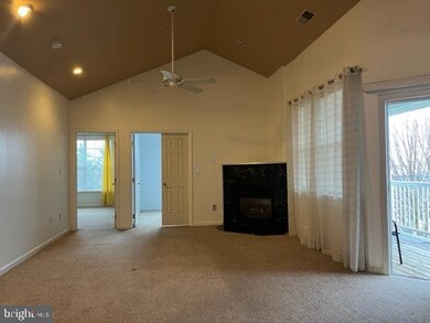 5002 Willow Branch Way unit 305, Owings Mills, MD 21117 - photo 3