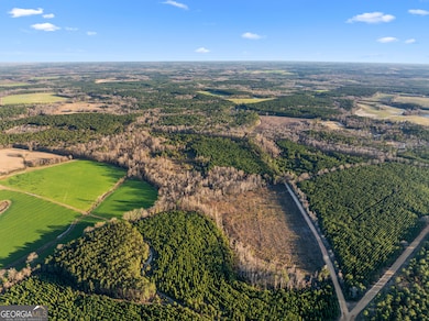 0 Thomas Rd unit 10647908, Millen, GA 30442 - photo 3