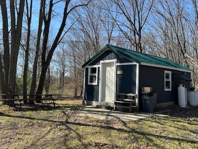 40 Acres + - 150th Ave, Leroy, MI 49655 - photo 4