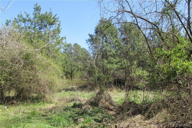 16615 Templeton Rd, Disputanta, VA 23842 - photo 3