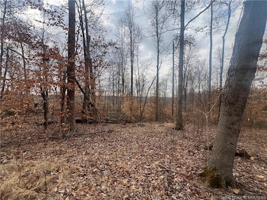 0 Hwy 135 unit Tract 3 2025011288, New Salisbury, IN 47161 - photo 5