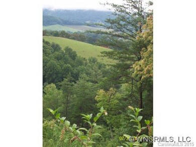 106 Balsamwood Dr, Leicester, NC 28748 - photo 6