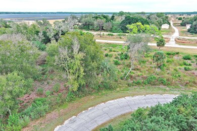 171 Carousel Ave, Fort Denaud, FL 33935 - photo 4