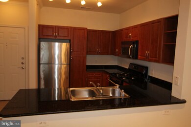 12909 Centre Park Cir unit 402, Oak Hill, VA 20171 - photo 6