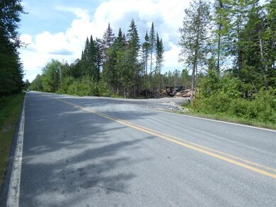 0 Willoughby Lake Rd, Barton, VT 05822 - photo 3