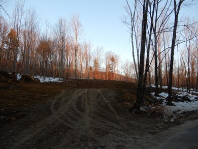 00 Tripptown, Hiram, ME 04041 - photo 2