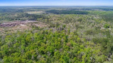 0 McMyers Ln, Crawfordville, FL 32327 - photo 5