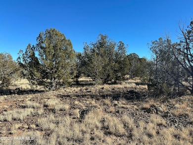 2249 W Cienega Dr, Ash Fork, AZ 86320 - photo 6