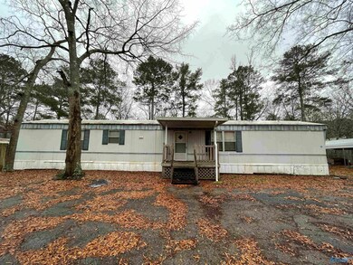 43 Horizon Place, Rainbow City, AL 35906 - photo 2