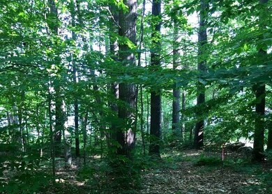 Lot 8 Basin, Tuftonboro, NH 03853 - photo 2