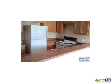 908 River Terrace, New Braunfels, TX 78130 - photo 5