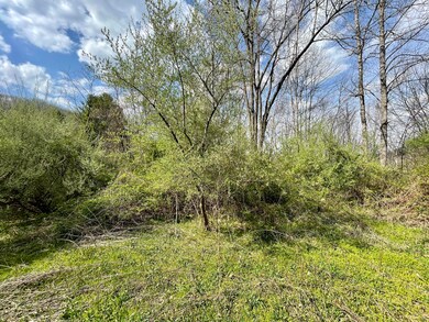 Tbd Orby Cantrell Hwy, Wise, VA 24293 - photo 6