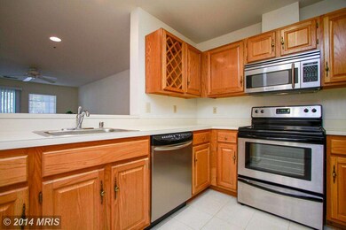 4403 Silverbrook Ln unit A102, Owings Mills, MD 21117 - photo 3