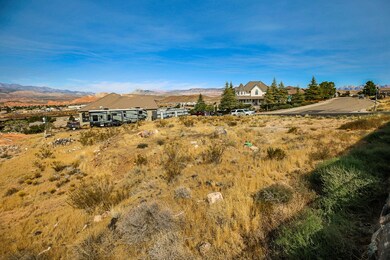 IMG_7392
