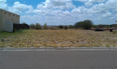 603 Cowbird Cove Ct, Laredo, TX 78045 - photo 2