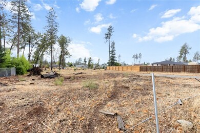 888 Thomasson Ln, Paradise, CA 95969 - photo 4