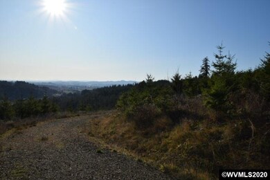 22000 Highway 47 (Block), Gaston, OR 97119 - photo 7