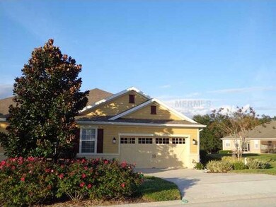 21805 Belgian Ct, Mount Dora, FL 32757 - photo 5