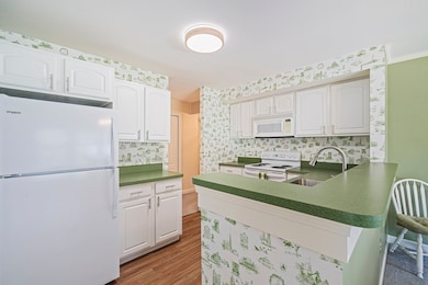 37 Hastings St unit 207, West Roxbury, MA 02132 - photo 6