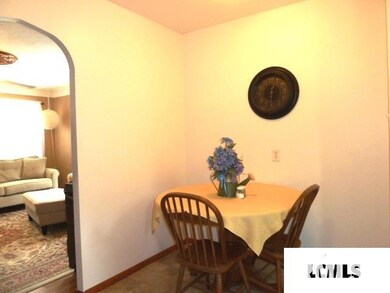 229 Welch Dr, Lincoln, IL 62656 - photo 7