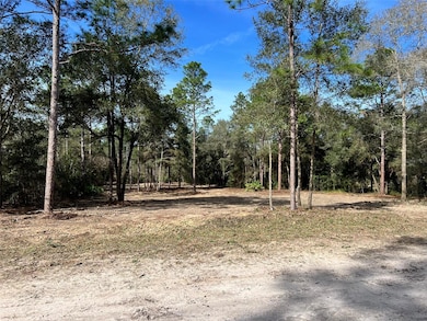 Lot 103 SW 60th Lane Rd, Ocala, FL 34481 - photo 3