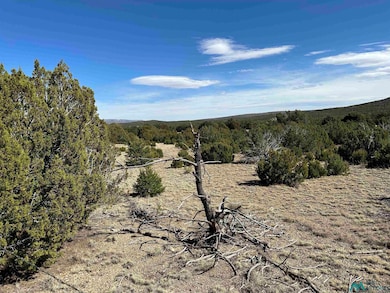 4.872 acres Frontage Road 2116, Serafina, NM 87569 - photo 6